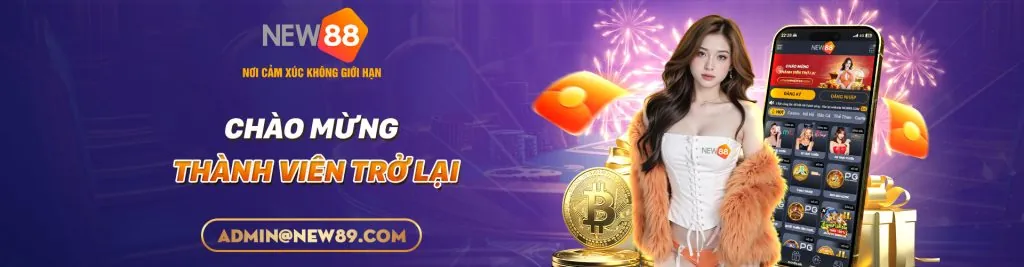 Tổng quan về điều khoản dịch vụ 8day8 bet
