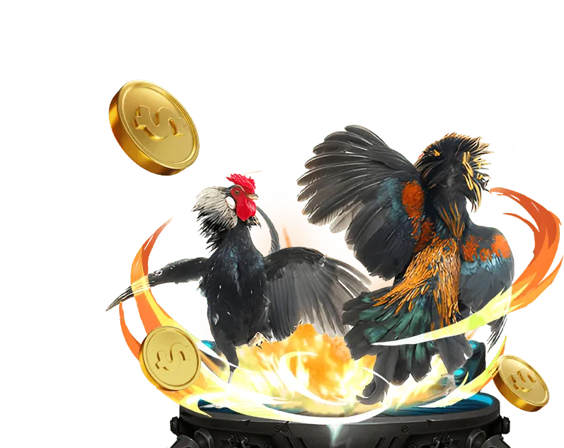 Cam kết của 8day8 bet