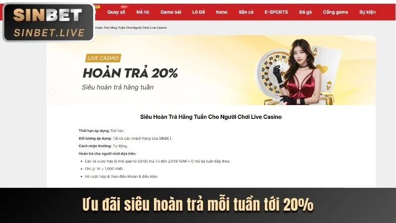Hướng dẫn chơi casino 8day8 bet